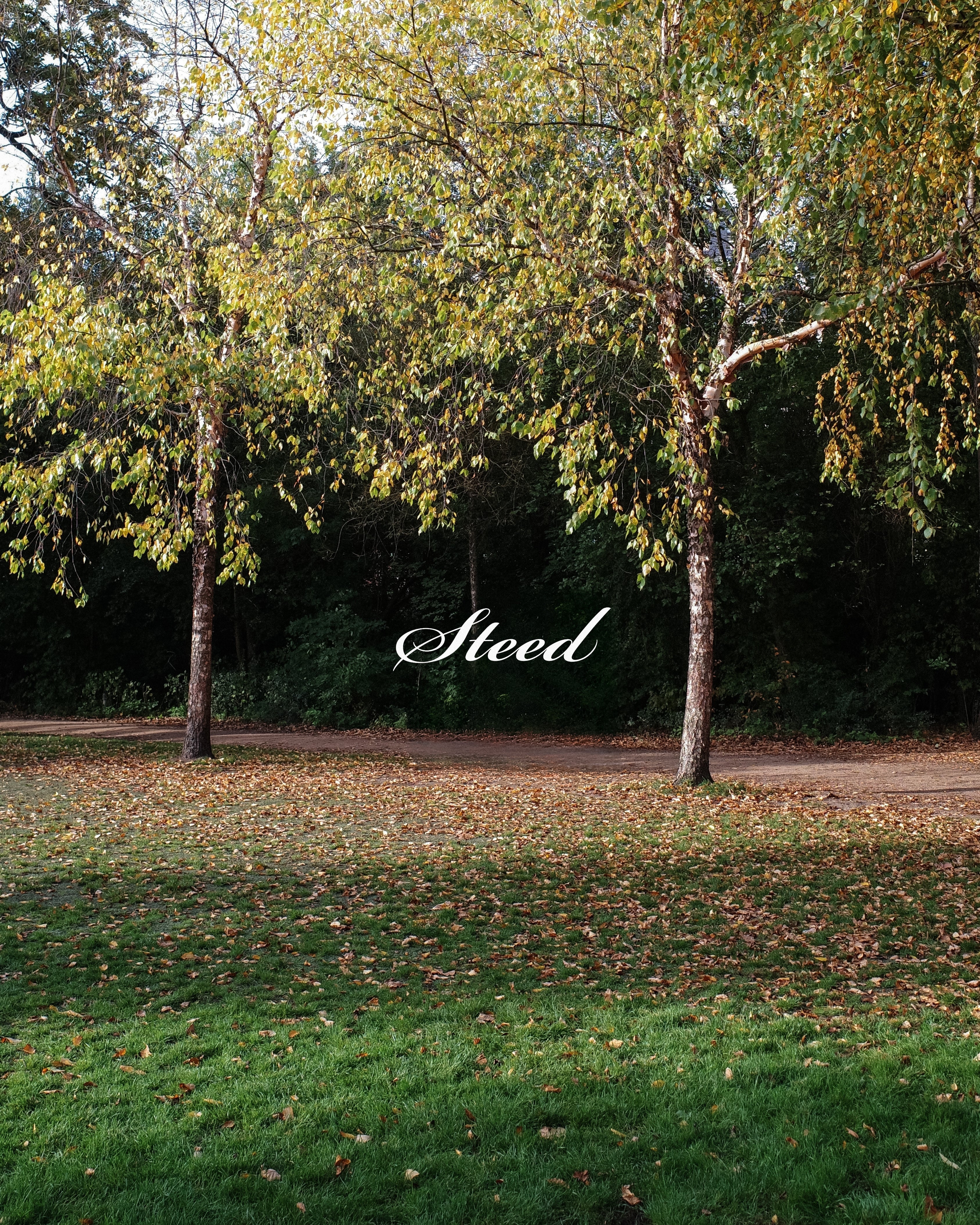 Steed Signature Box Tee V2 - Black
