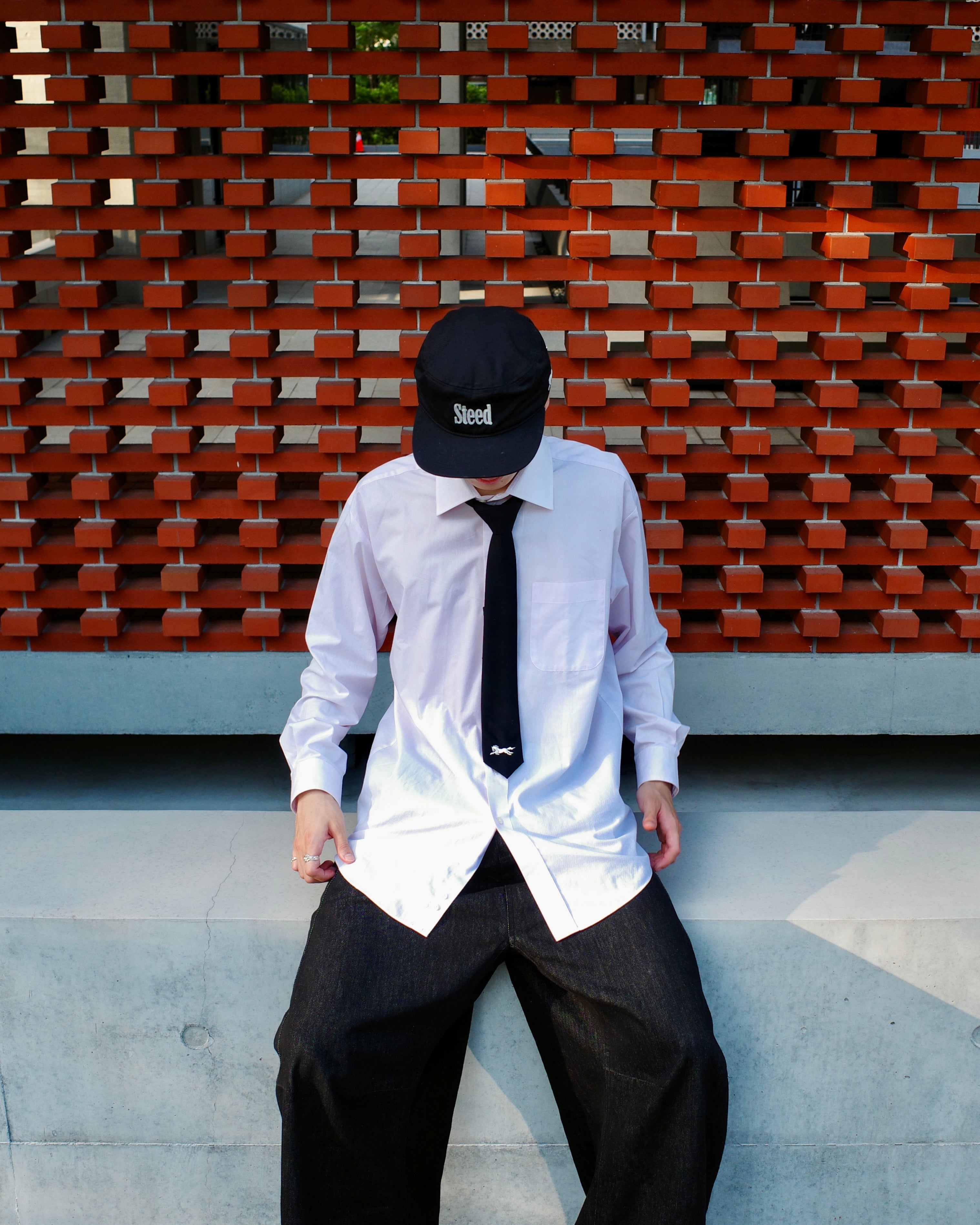 Steed Horse Logo Tie