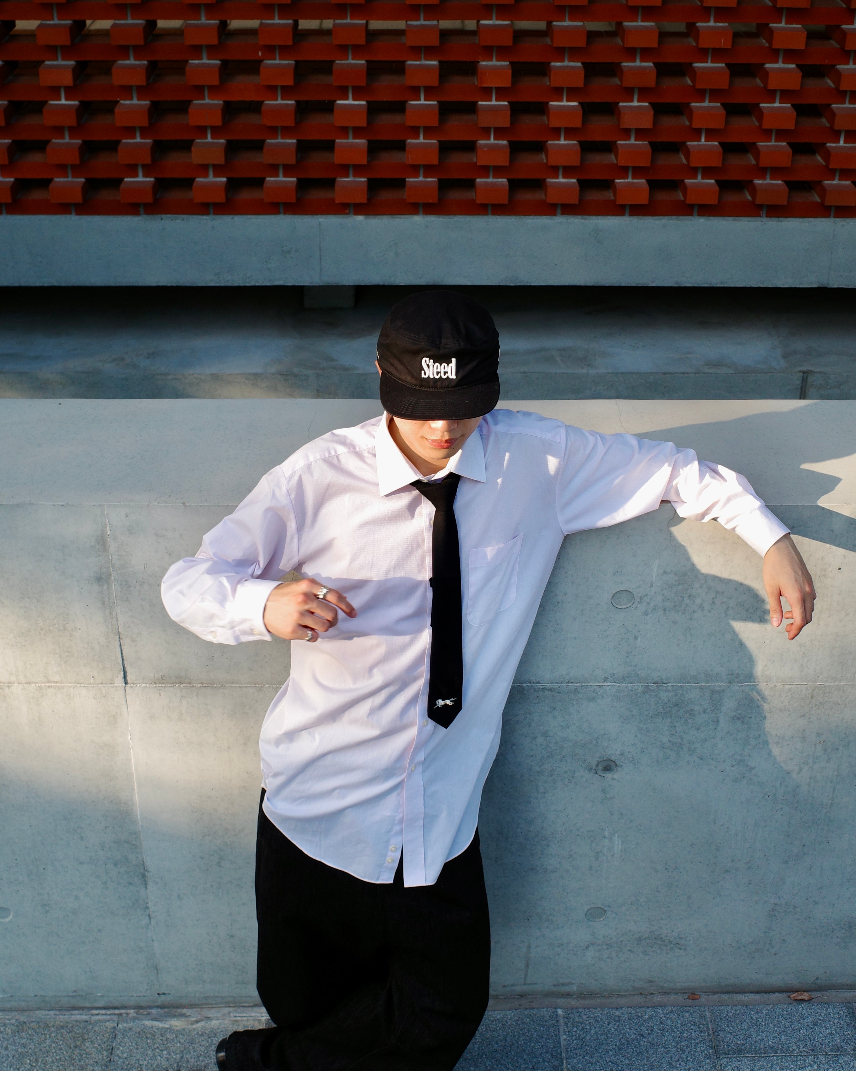 Steed Horse Logo Tie