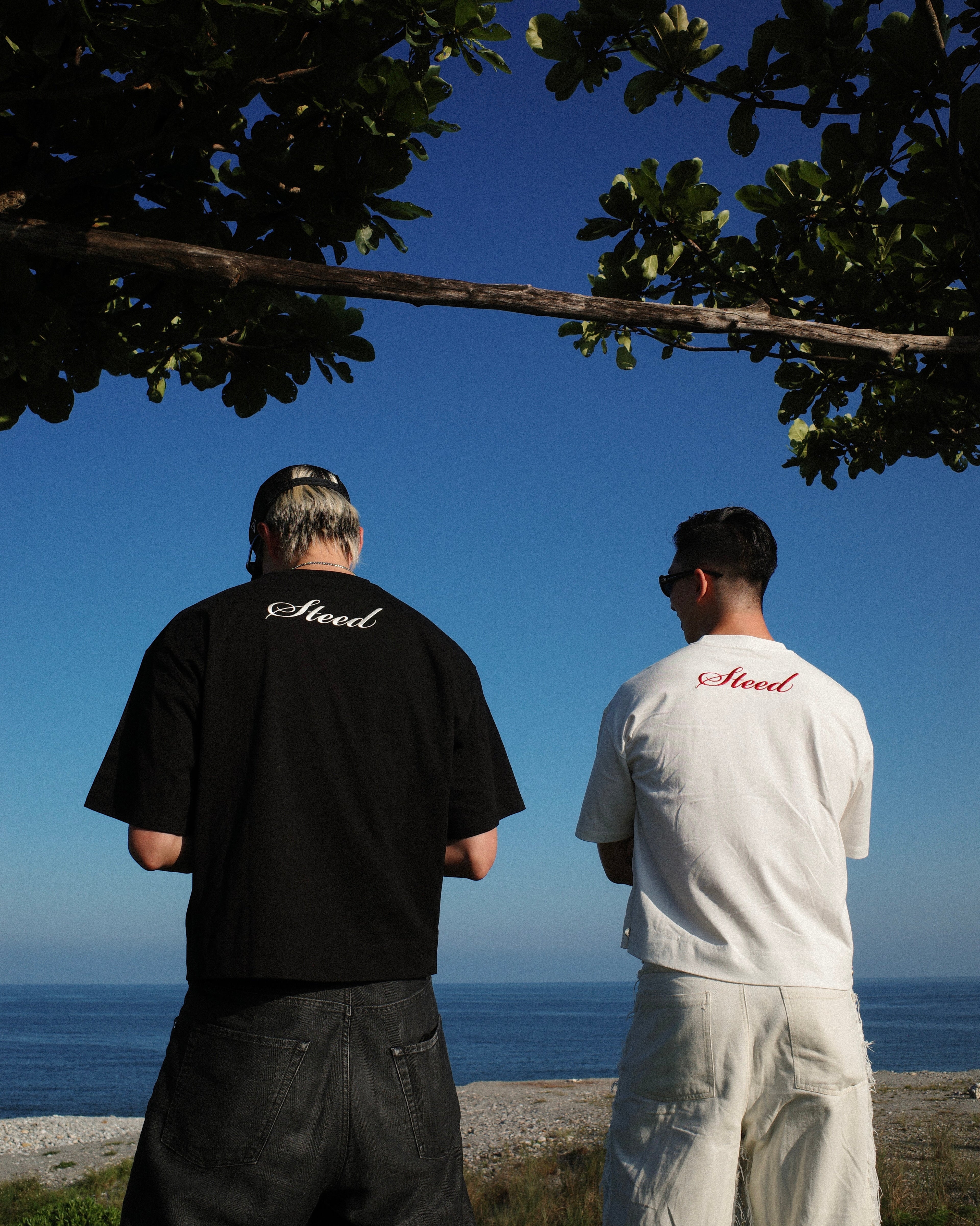 Steed Signature Tee V3