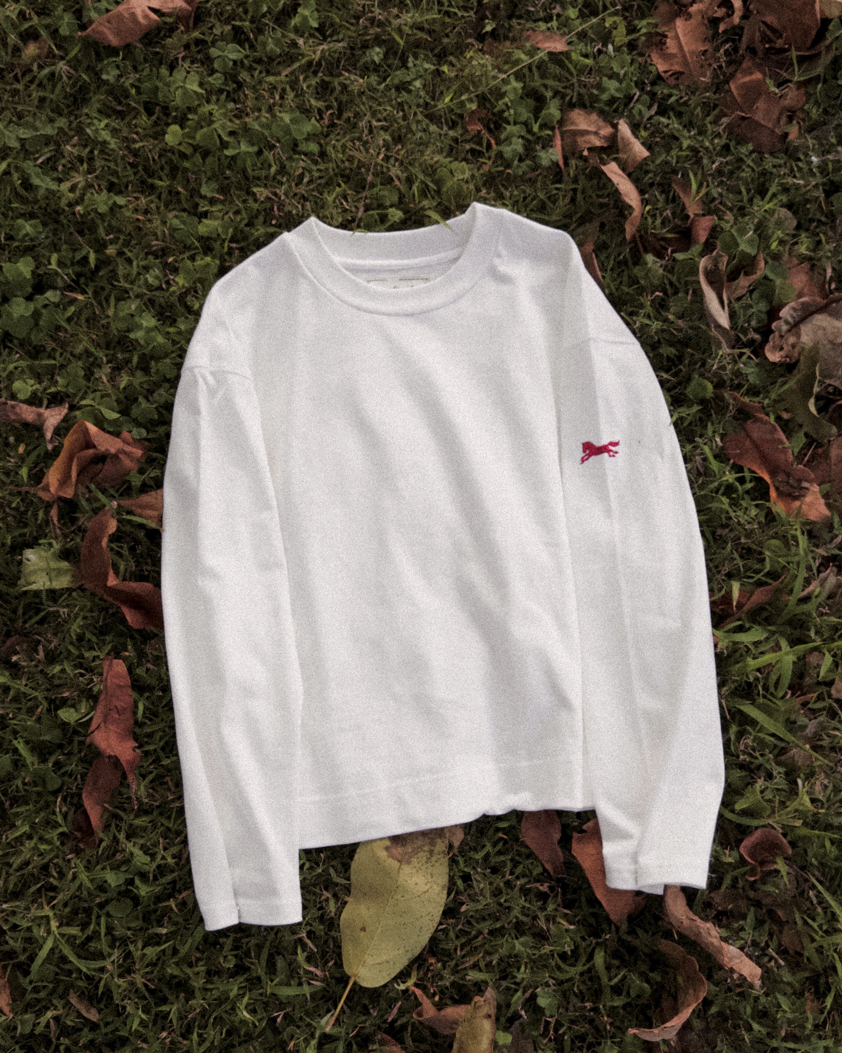 Steed Signature Box Long Tee - White