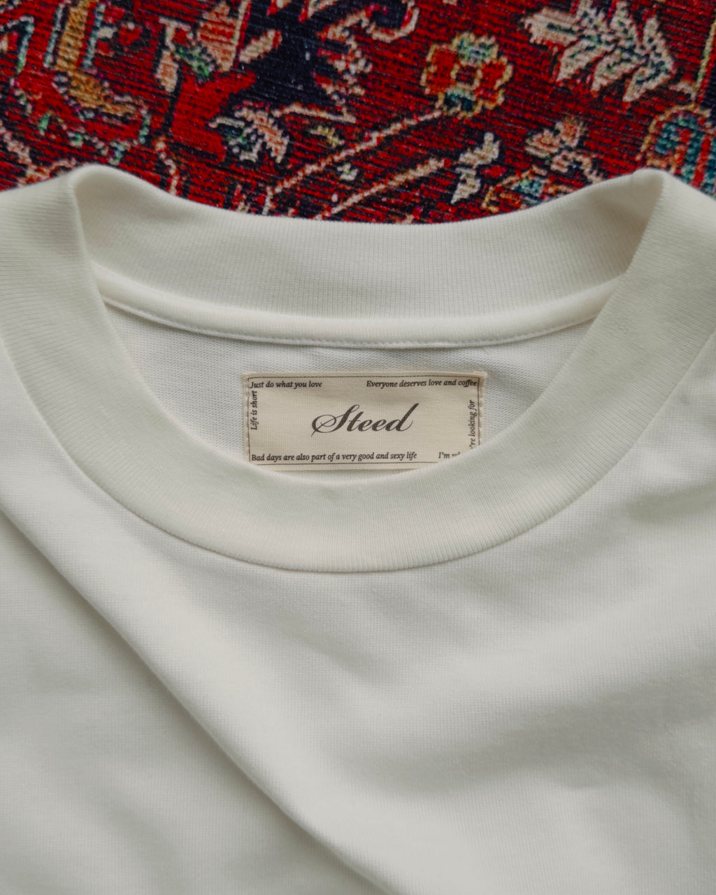 Steed Signature Box Long Tee - White