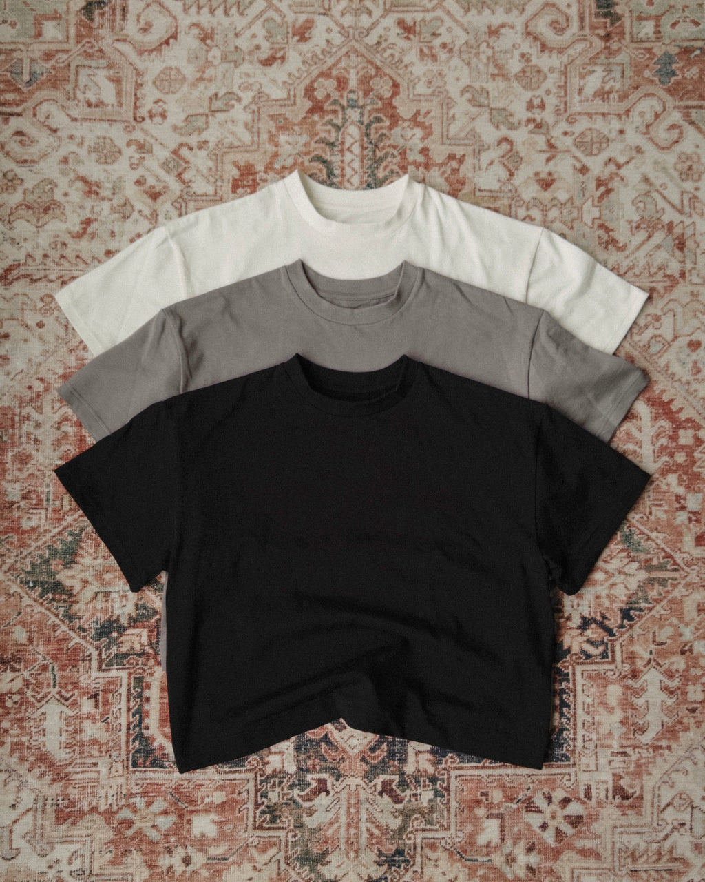 Steed Signature Tee V3