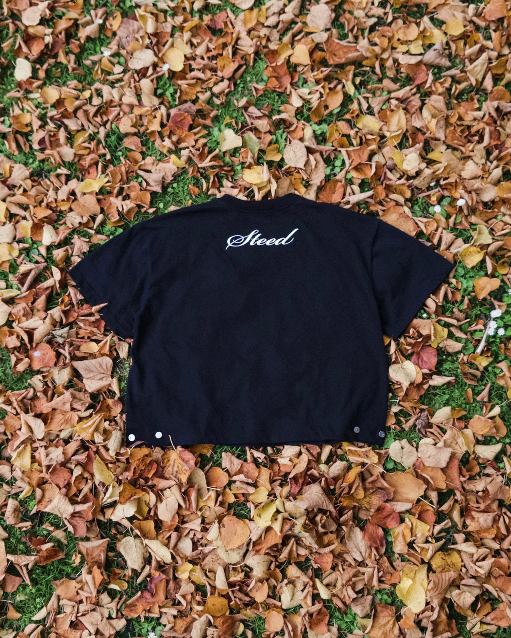 Steed Signature Box Tee V2 - Black
