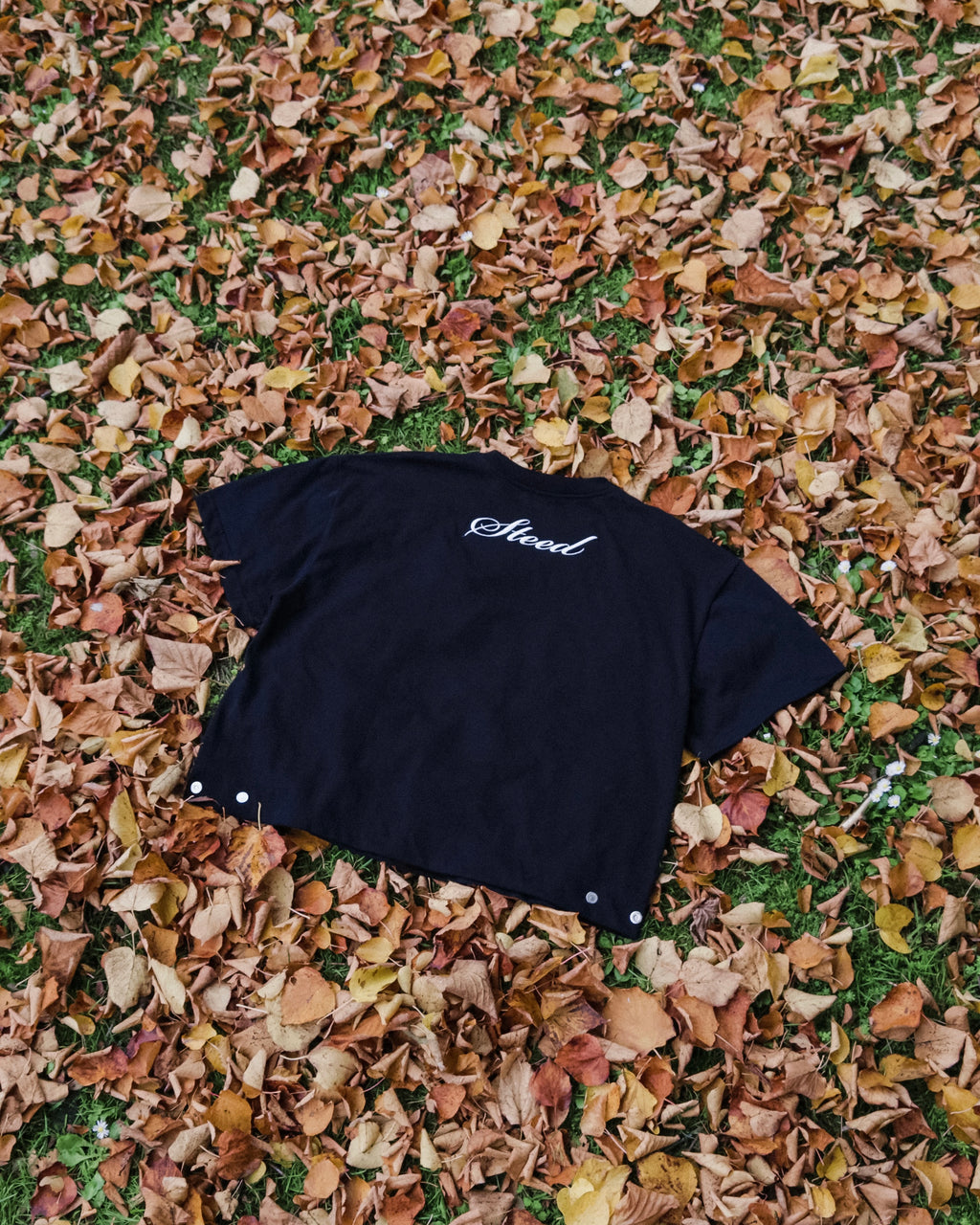 Steed Signature Box Tee V2 - Black