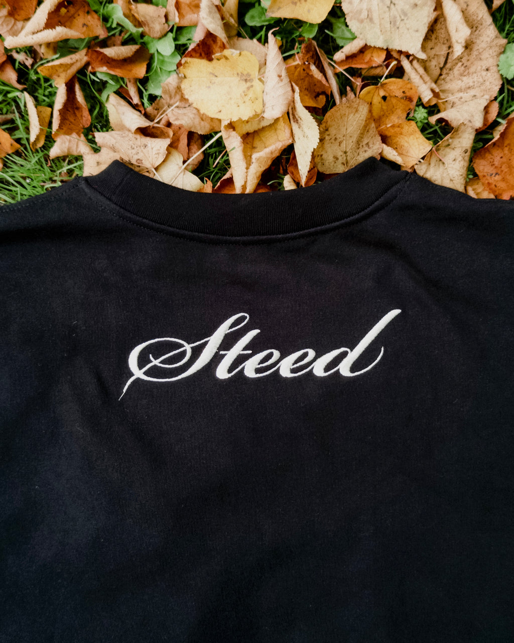 Steed Signature Box Tee V2 - Black
