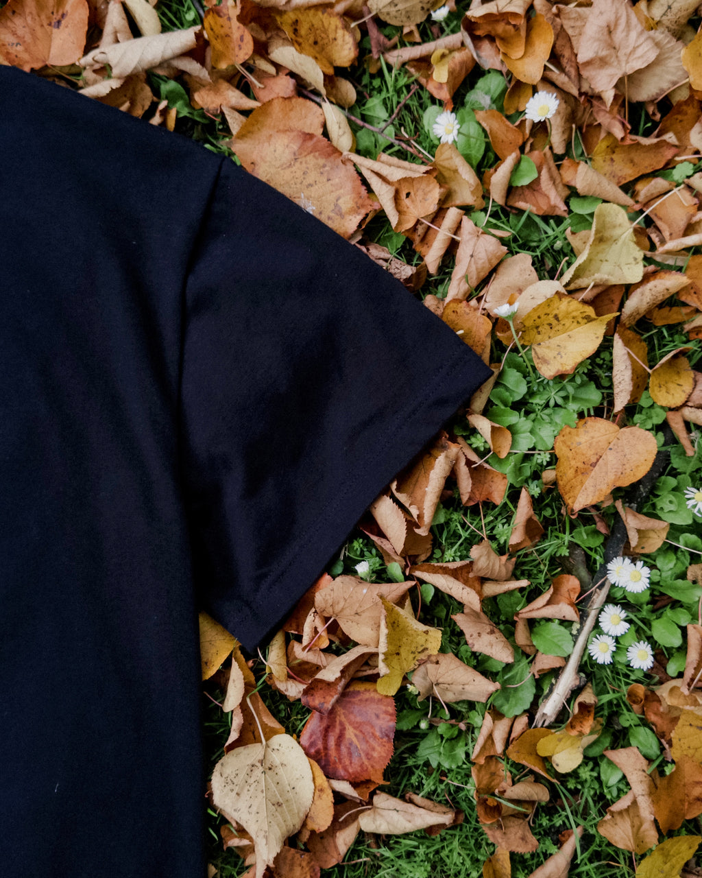 Steed Signature Box Tee V2 - Black