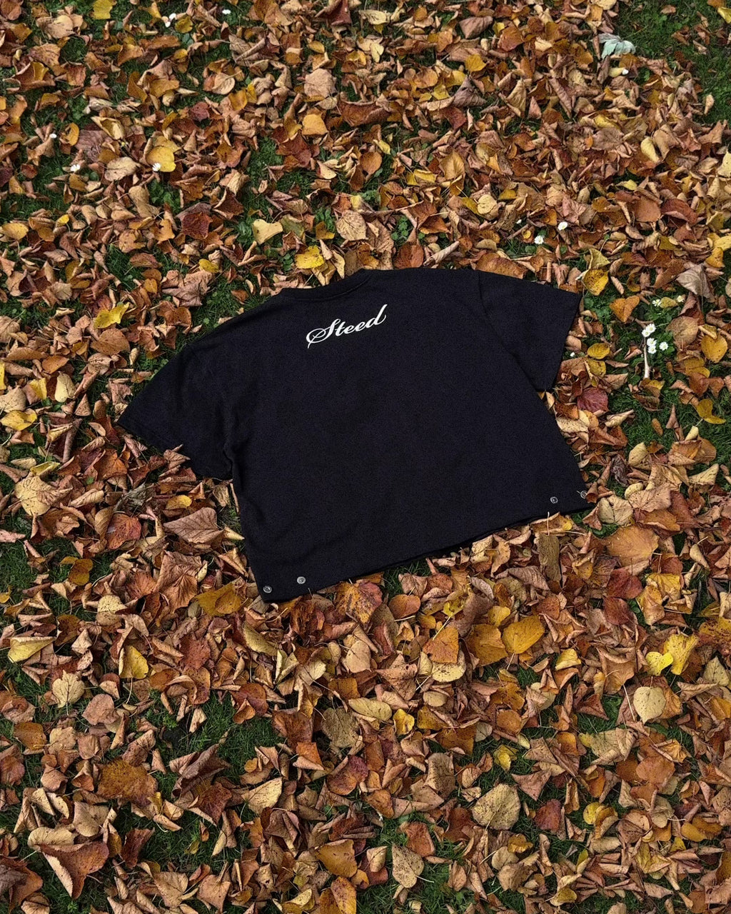 Steed Signature Box Tee V2 - Black